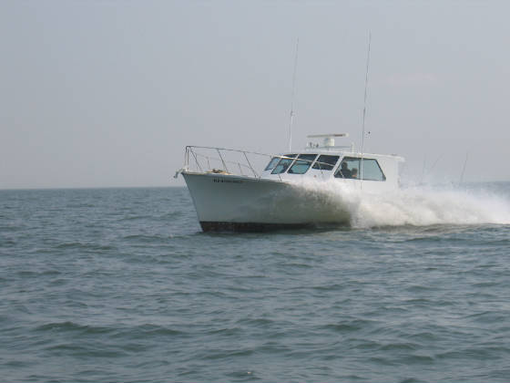 Gone FIshin'