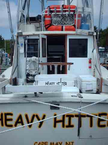 Heavy Hitter