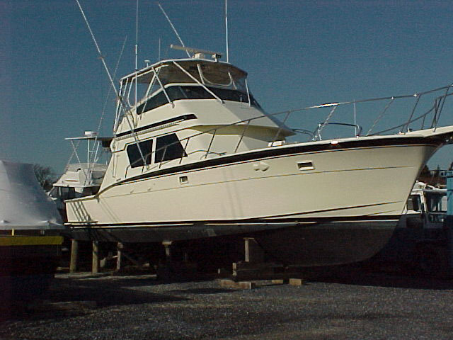 C Eagle