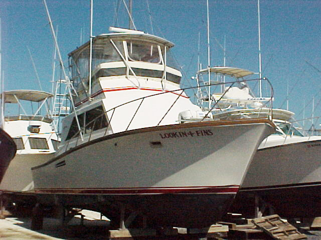 Lookin4fins