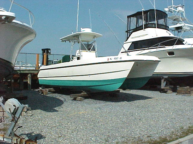 seacat